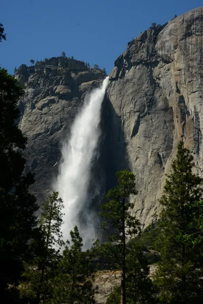 DSC_2388 (Large).JPG